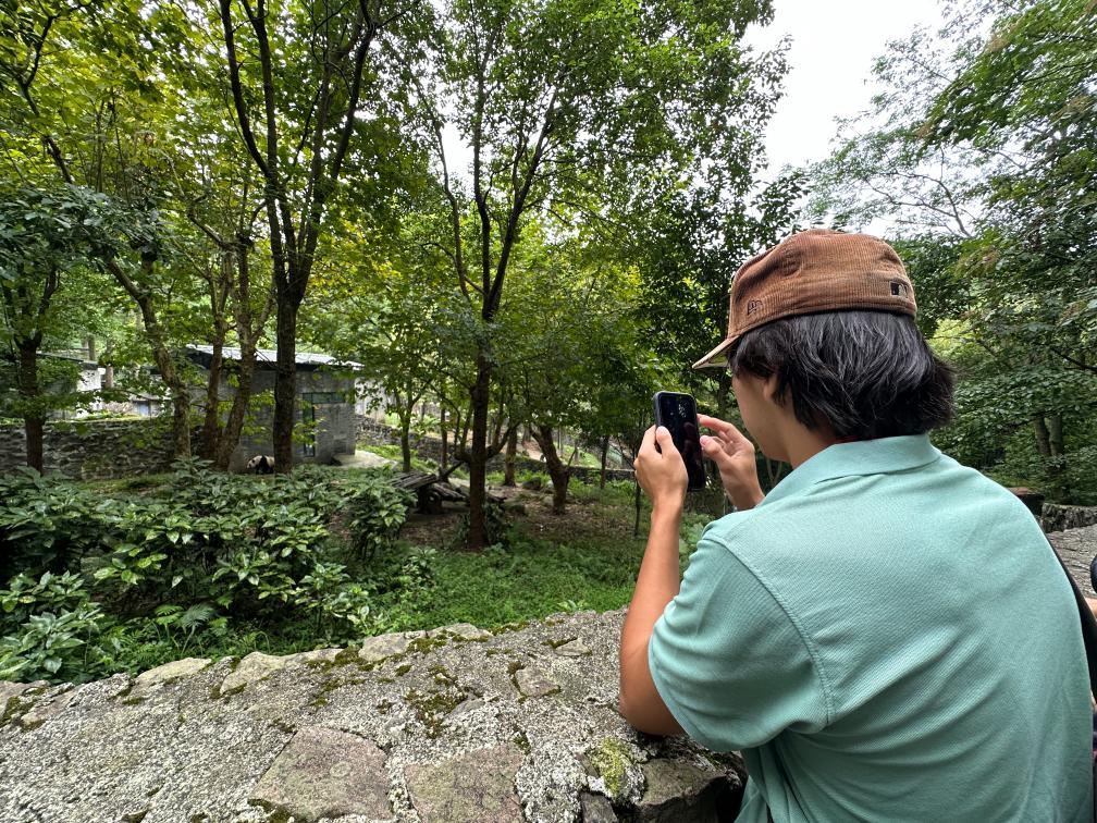 9月20日，美国青少年在中国大熊猫保护研究中心都江堰基地游览。新华社记者 袁睿 摄