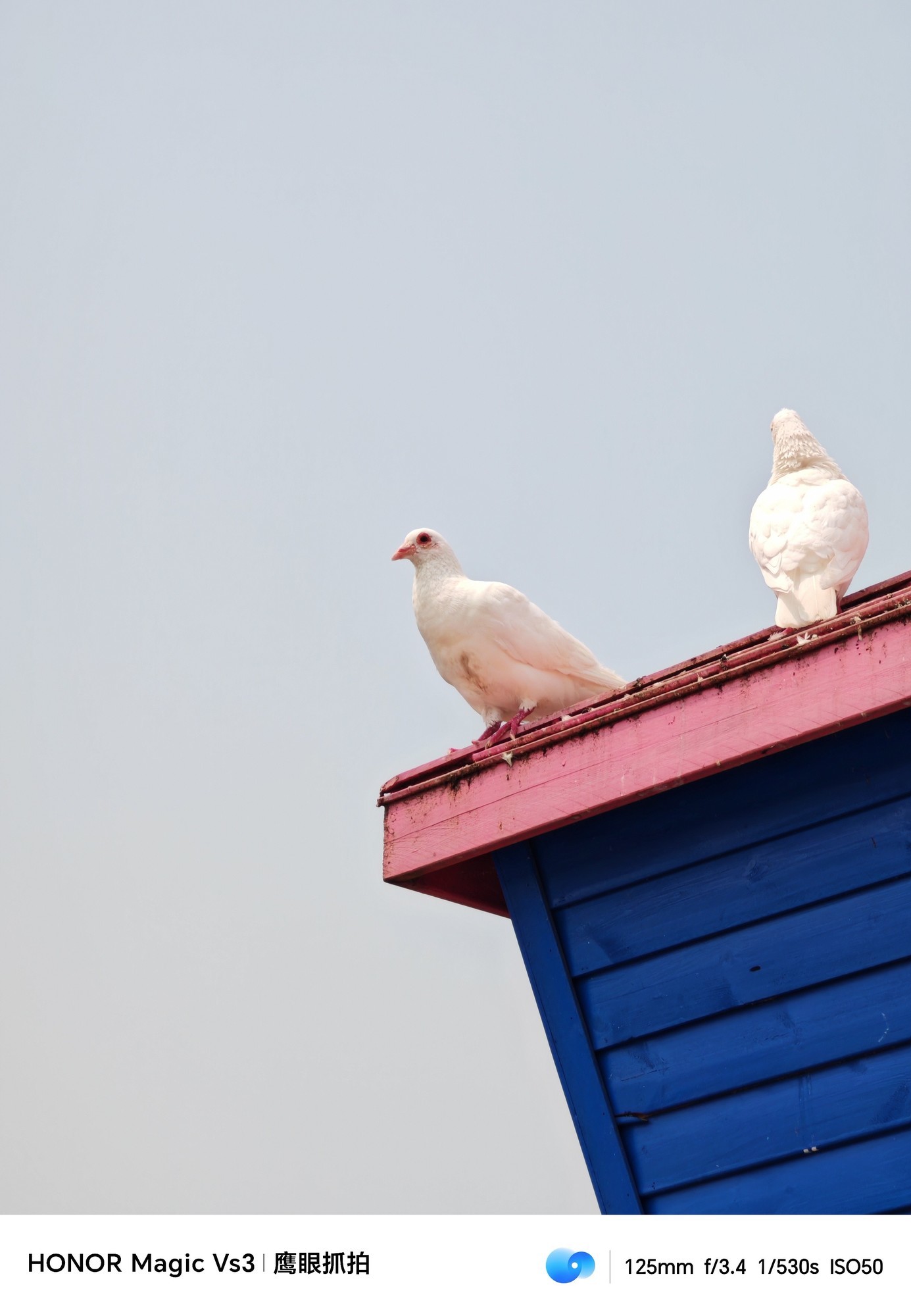 荣耀Magic Vs3上手体验:轻薄与全能并存的折叠屏新机