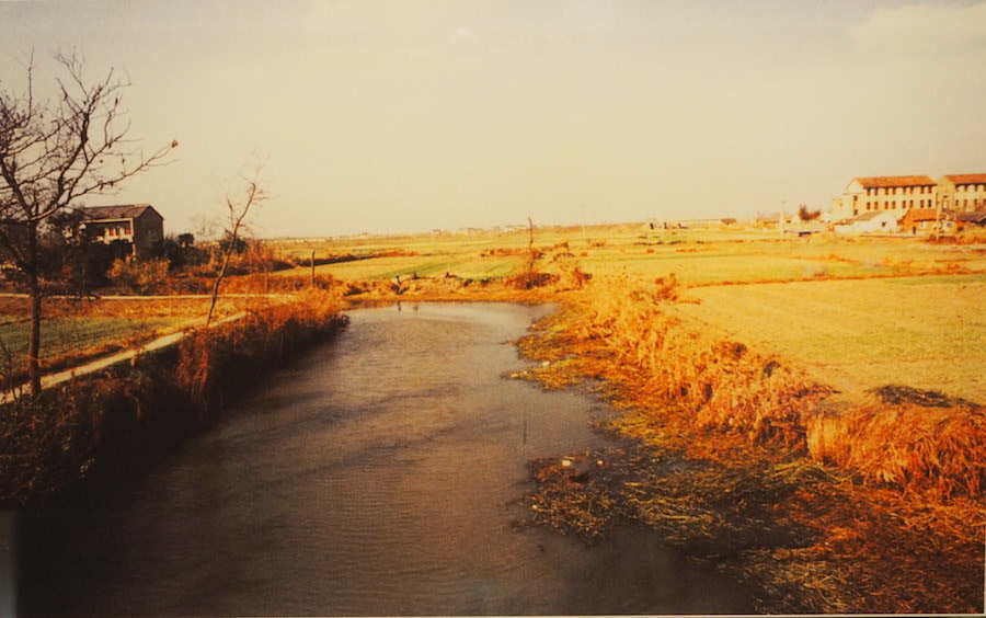 1980年代崧泽遗址全景