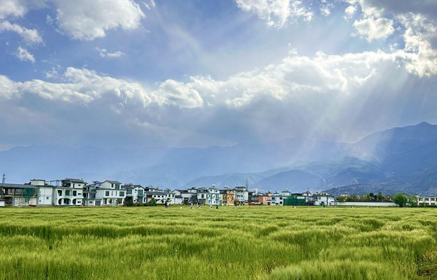 图为喜洲古镇。（新华网 刘奕摄）