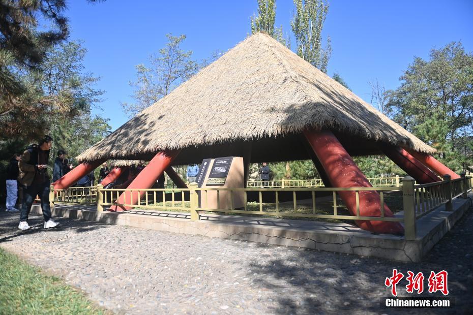 图为22国青年汉学家参观大地湾遗址　中新社记者　李亚龙　摄