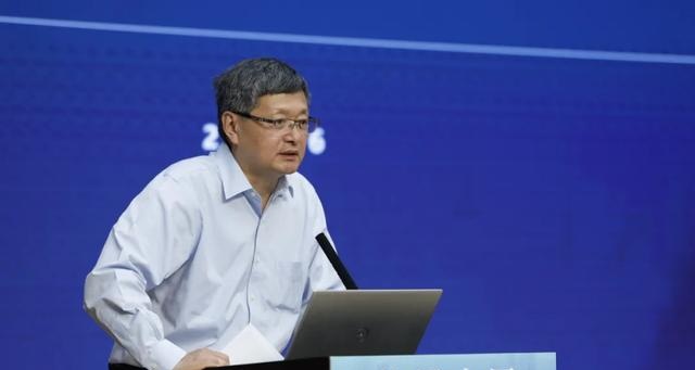 中国电动汽车百人会常务副秘书长刘小诗。中新社记者 富田 摄