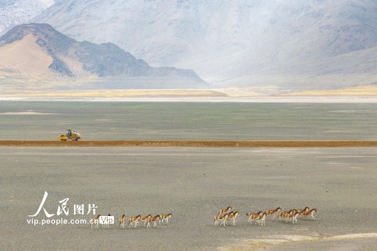 西藏阿里：高原公路建设忙【5】