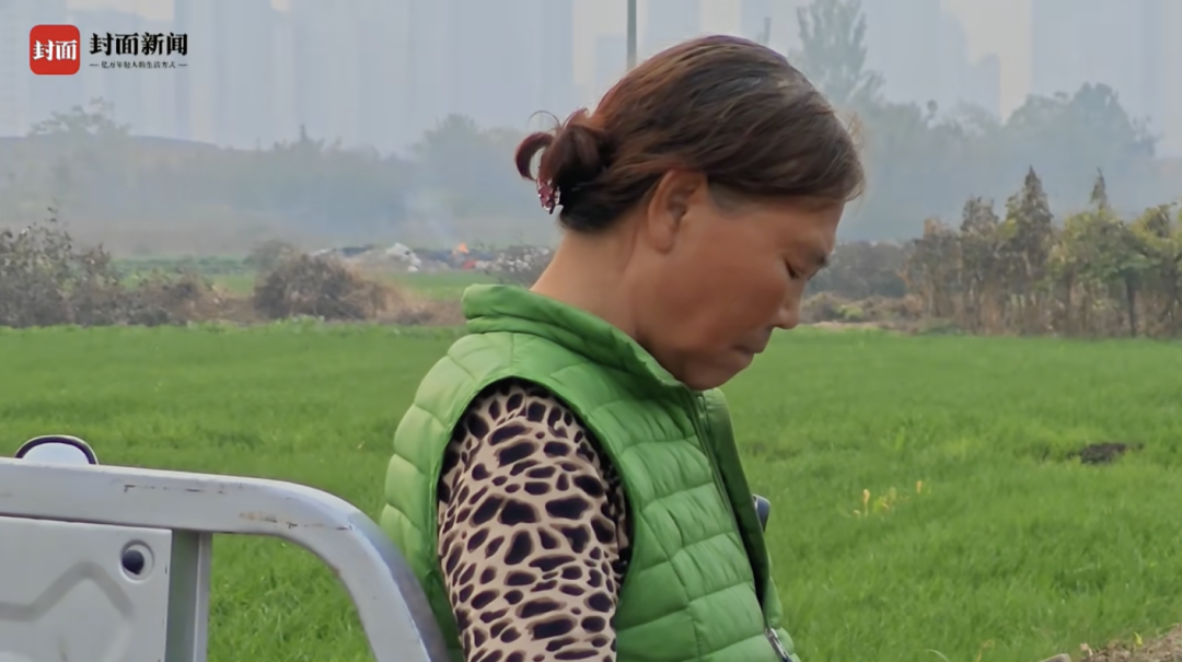 麦子阿姨