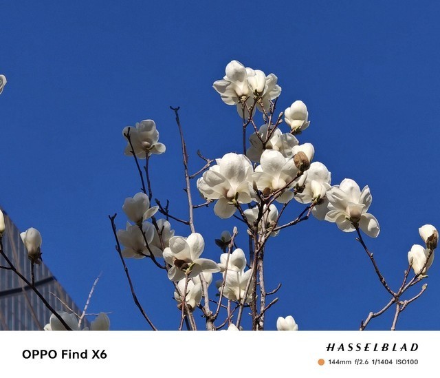 【有料评测】多摄的终极形态?OPPO Find X7 Ultra全面评测