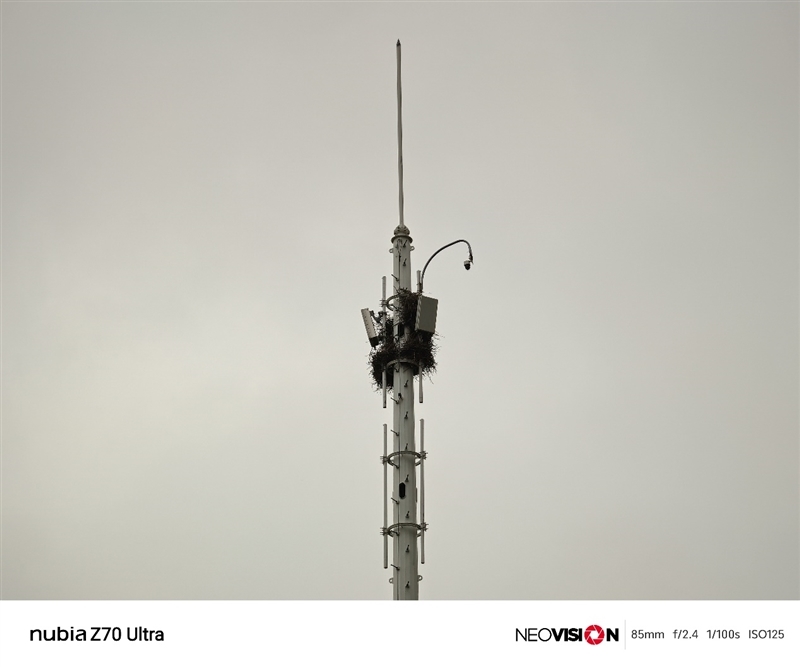 颜值巅峰 极简交互!努比亚Z70 Ultra深度评测:未来手机发展趋势风向标