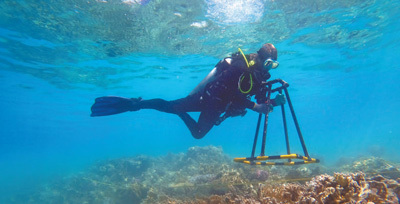 沙特红海旅游项目工作人员在进行珊瑚礁勘测。沙伊卜摄