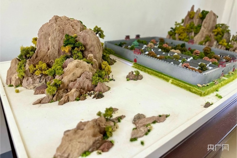 孟河斧劈石盆景(央广网记者 顾炀威 摄)