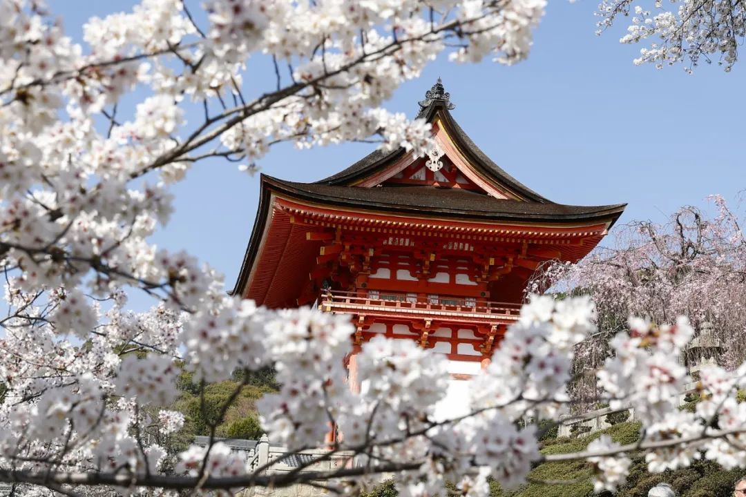 京都清水寺