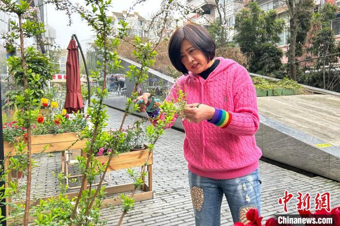 近日，张平宜在思乐玛塔烘焙厨房外修剪花草。　　 中新社记者 王鹏 摄