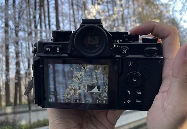 春天不能错过的樱花人像 尼康Z f+Z 85mm f/1.8 S实拍体验