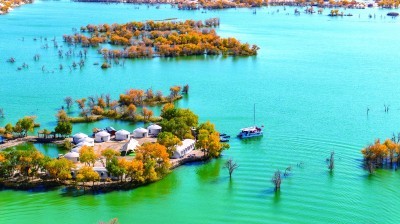 游客在尉犁县葫芦岛乘坐游船观赏秋景。韩峻摄