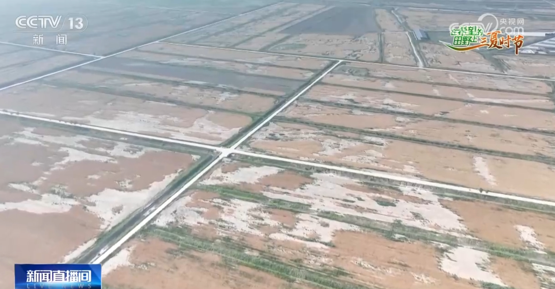 破“碱”重生提产量、壮产业 盐碱地治理助力端稳端牢“中国饭碗”_凤凰网