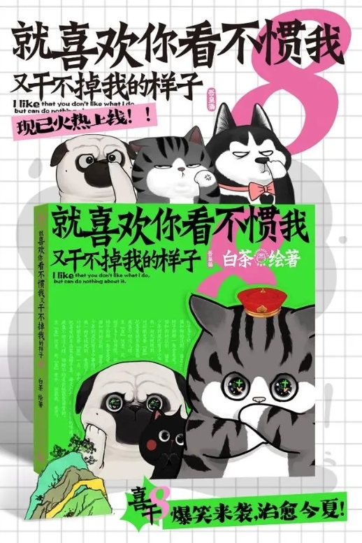 《就喜欢你看不惯我又干不掉我的样子8》书封