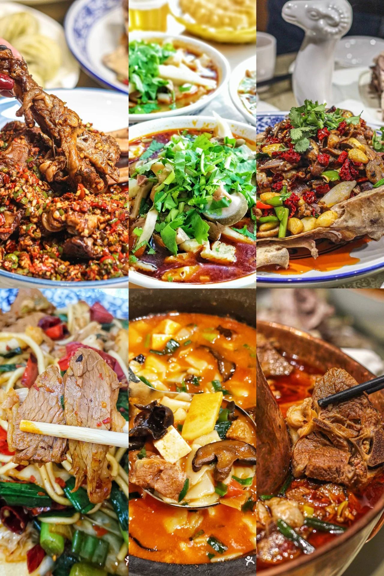 「宁夏」，你可太宝藏了