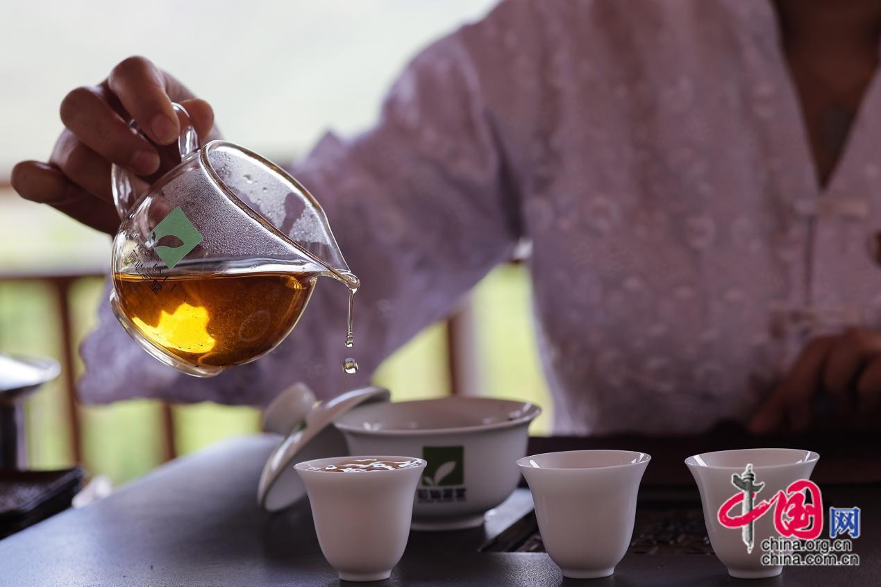 工作人员展示该茶园生产的乌龙茶，“汤色金黄通透，茶毫丰富，茶香四溢”。中国网记者 董宁 摄影