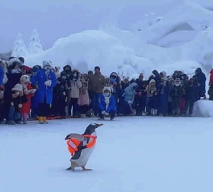冰天雪地也是金山银山｜661.9万人次！69.20亿元！2024年元旦期间，龙江旅游怎一个火爆了得
