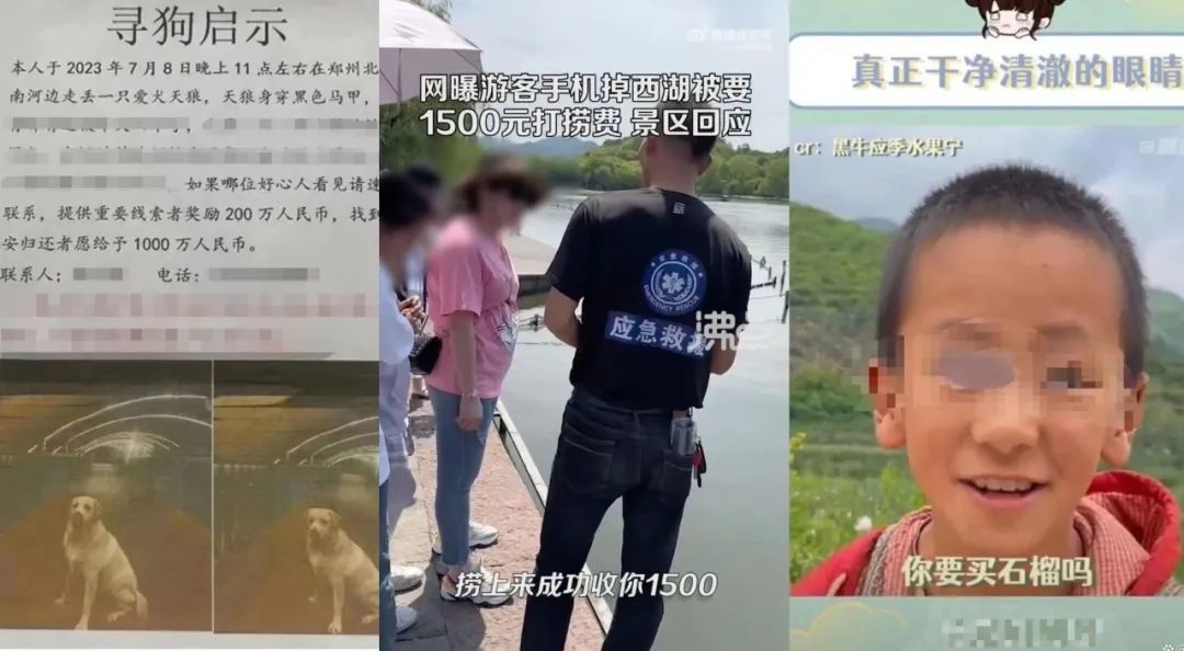 假新闻 图源:网络截图