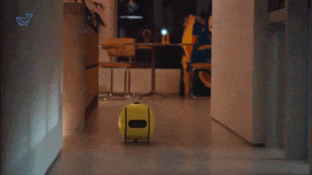 1.gif