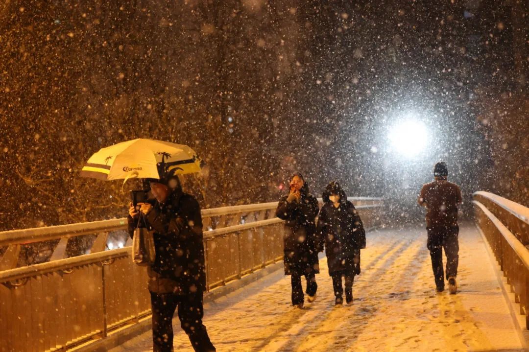 2月20日，北京市东直门南大街过街天桥，市民在雪中行走。新京报记者 王贵彬 摄