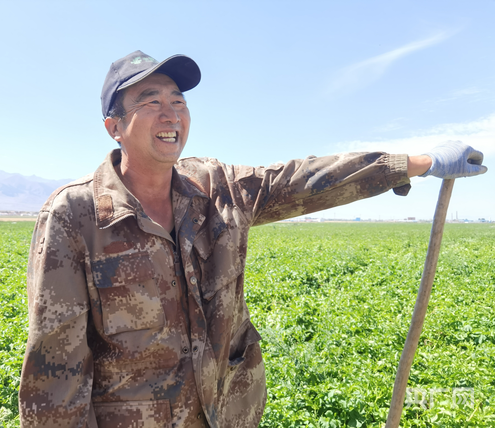 马铃薯种植基地管护人员高玉辉向记者介绍情况(央广网记者 夏莎 摄)