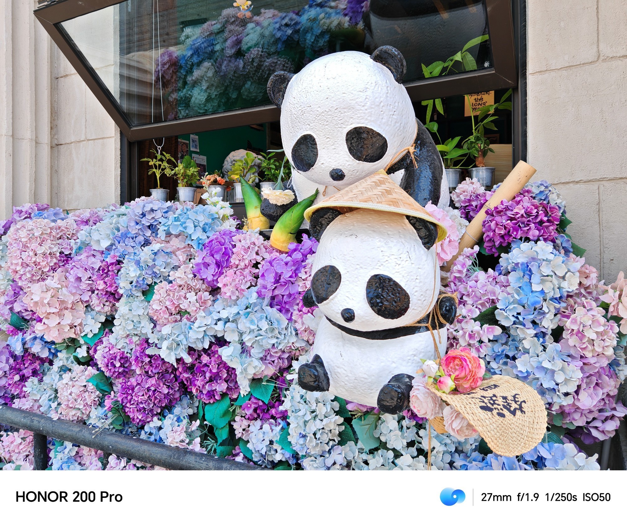 用AI重构手机人像摄影 荣耀200 Pro上手体验