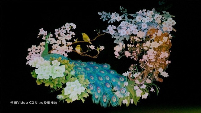 现代技术还原《九歌》!95后用Vidda三色激光投影演绎屈原诗歌