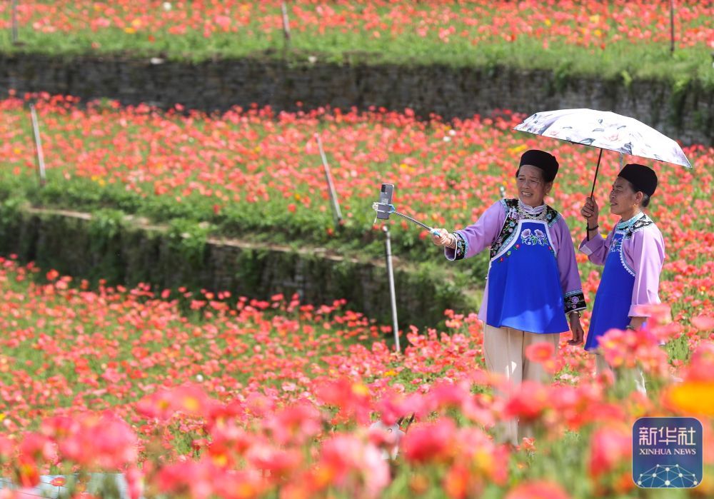 4月14日,游客在贵州省贵阳市乌当区羊昌镇花画小镇景区游玩.