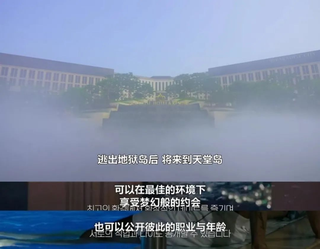 图源:网络