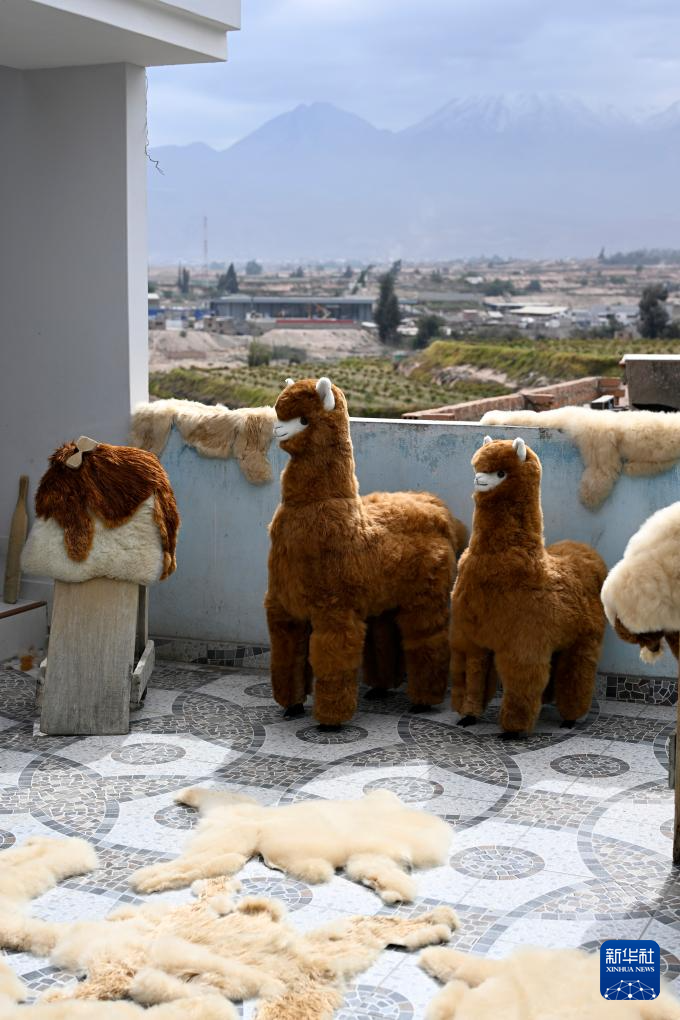 这是6月20日在秘鲁阿雷基帕拍摄的羊驼皮毛和羊驼玩偶。新华社记者 李木子 摄