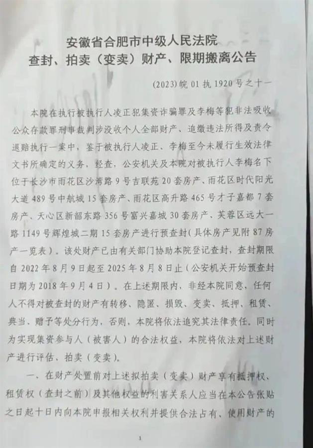 女子长沙87套房被法院拍卖，合肥还有90套，她何许人也？