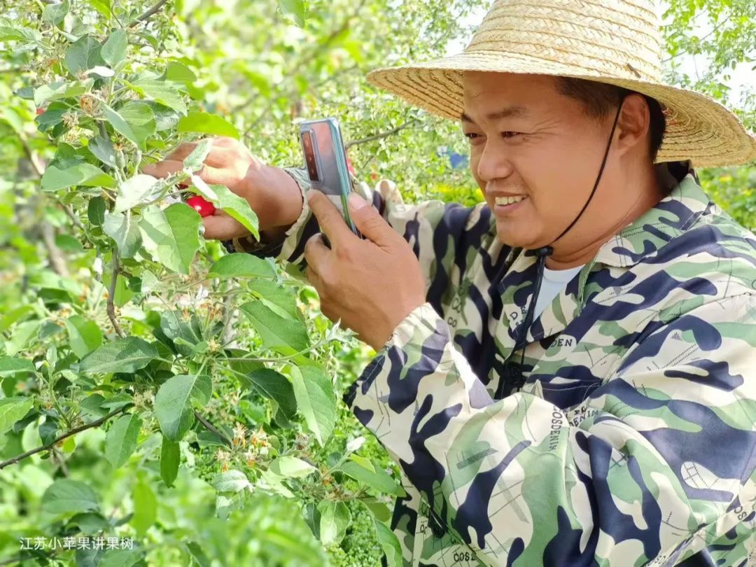 陈厚武在直播果树开花情况