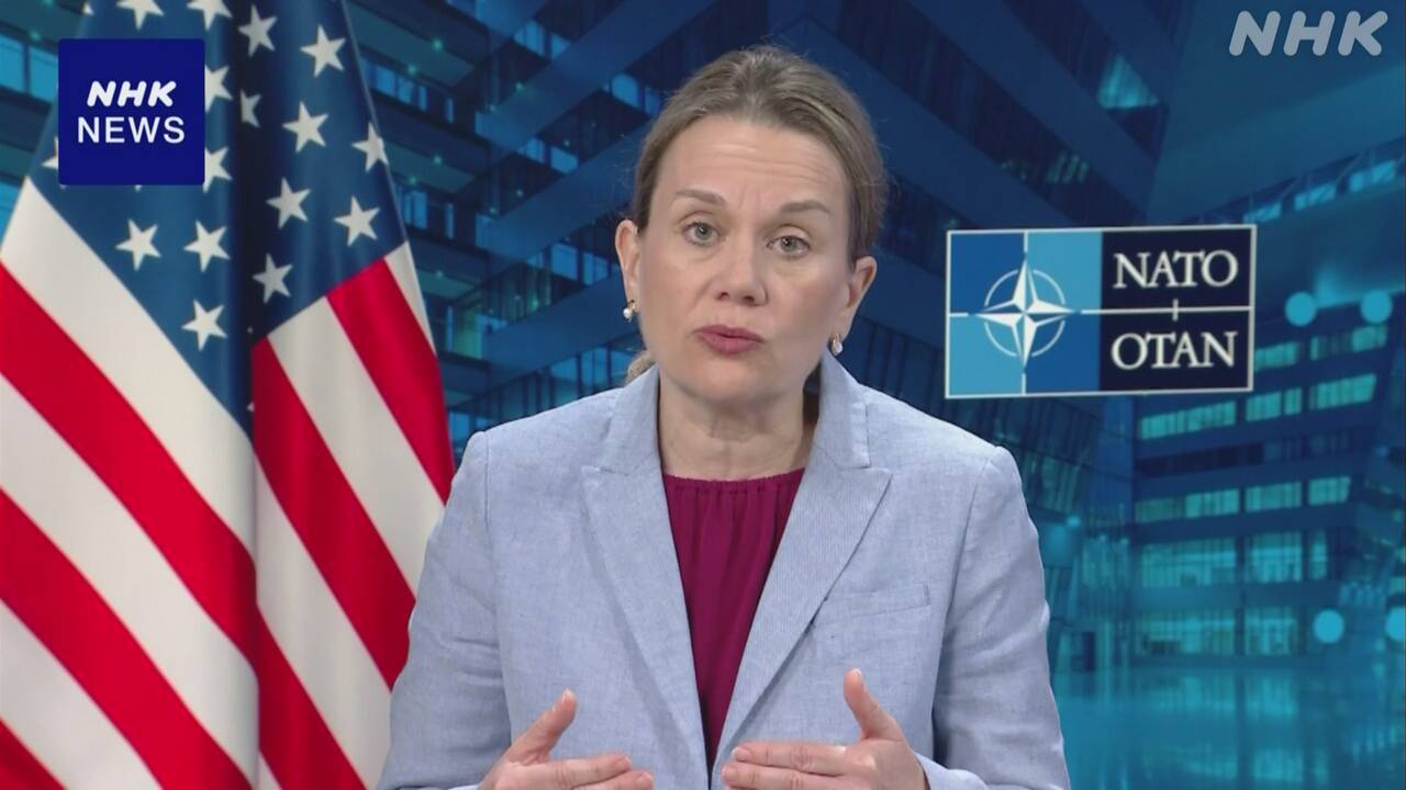 美国驻北约大使朱莉安·史密斯接受NHK线上独家专访 视频截图