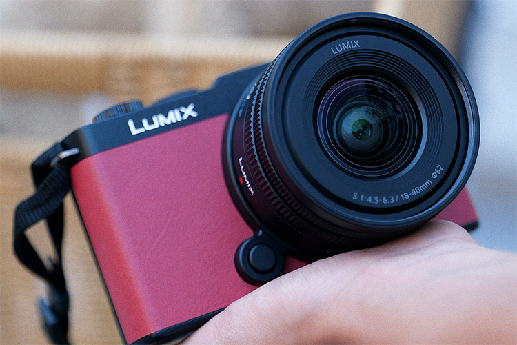 2024-09-03 130432-1.jpg