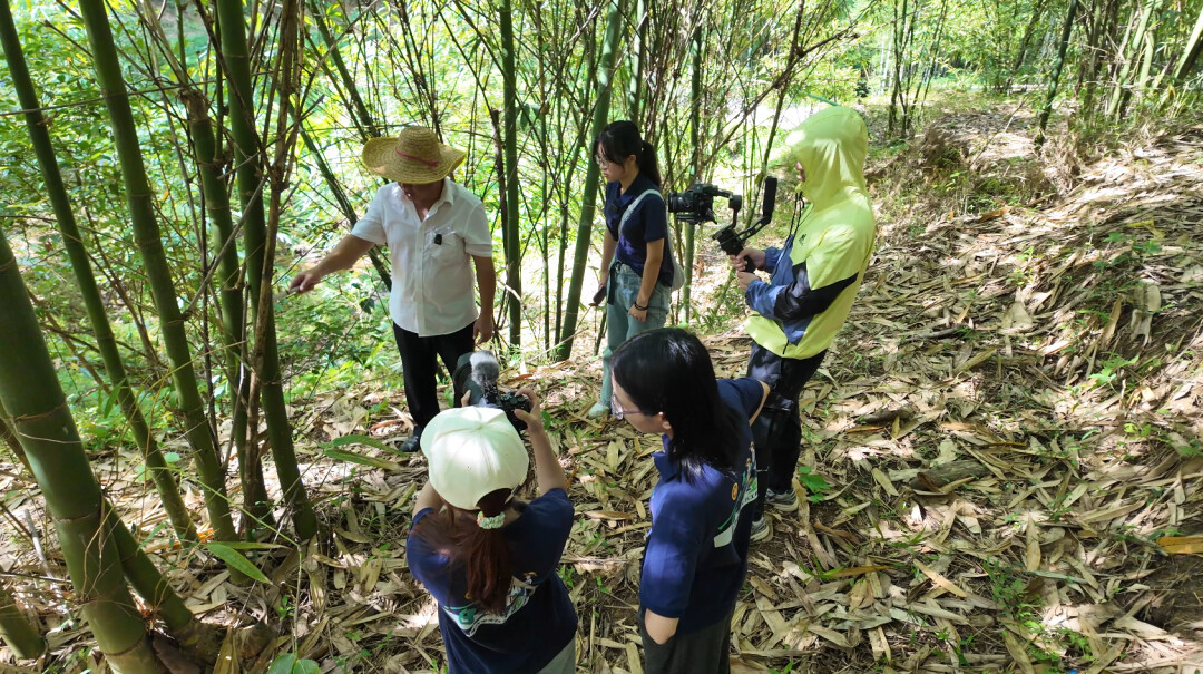 广东财经大学食嘢百态实践团，在龙门县龙华镇西溪村开展了一场调研之旅。