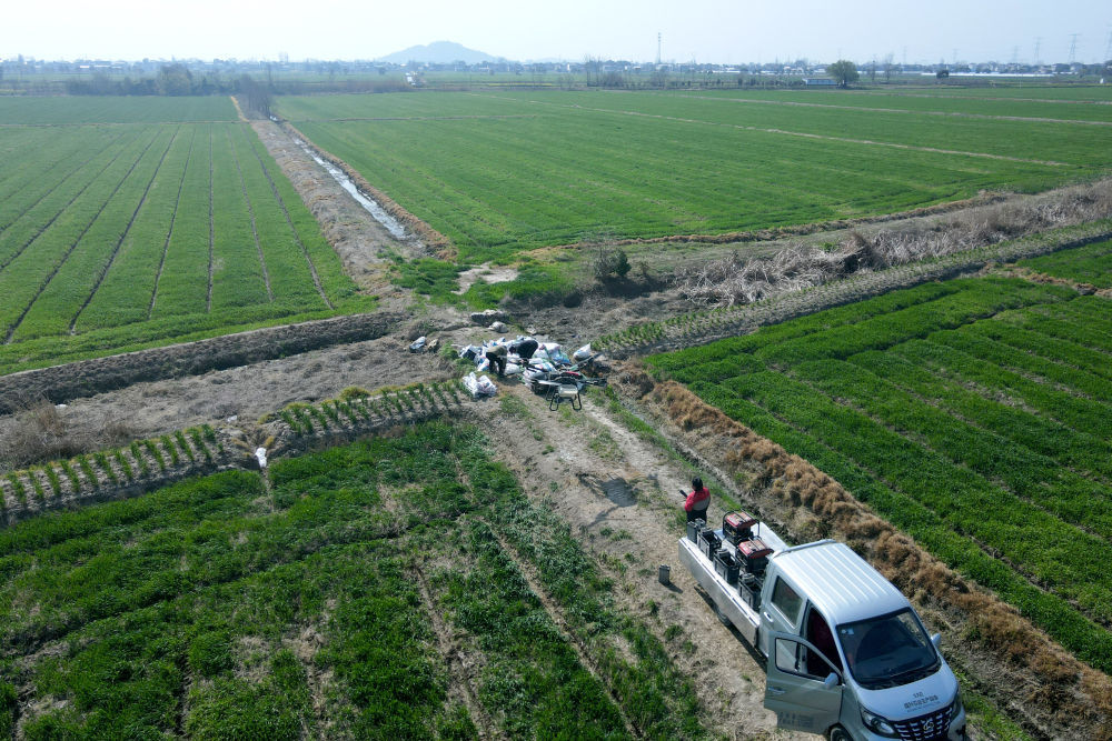 3月22日，在安徽省合肥市庐江县同大镇拍摄的小麦田（无人机照片）。新华社记者黄博涵 摄
