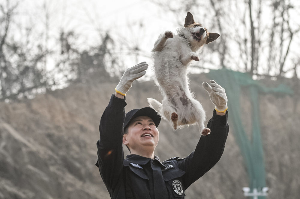 1月10日，湖北省黄石市公安局刑侦支队警犬训练大队对警犬开展强化训练，为即将到来的2024春运安全保障工作做好准备。这是训导员和警犬“杰克”在训练间隙玩耍。新华社记者 伍志尊 摄