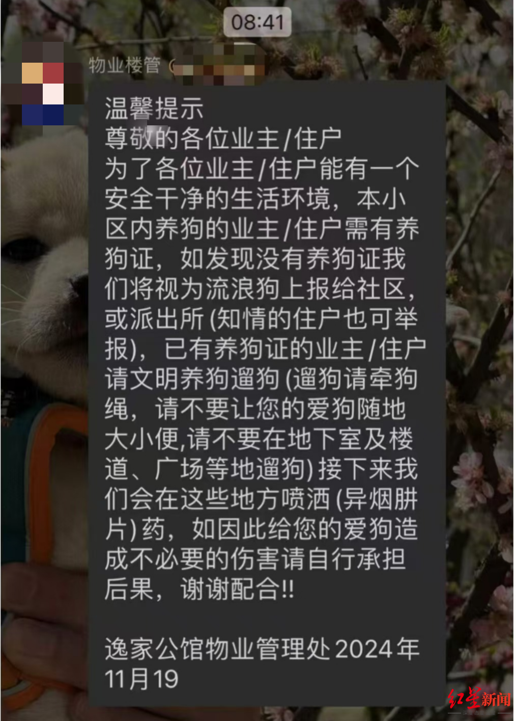 物业管家称将在小区喷洒对犬类有毒药品，居委会回应