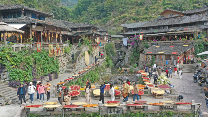 2023年11月14日,永嘉县岩坦镇林坑古村,房前屋后,窗台,和屋顶上晾晒着