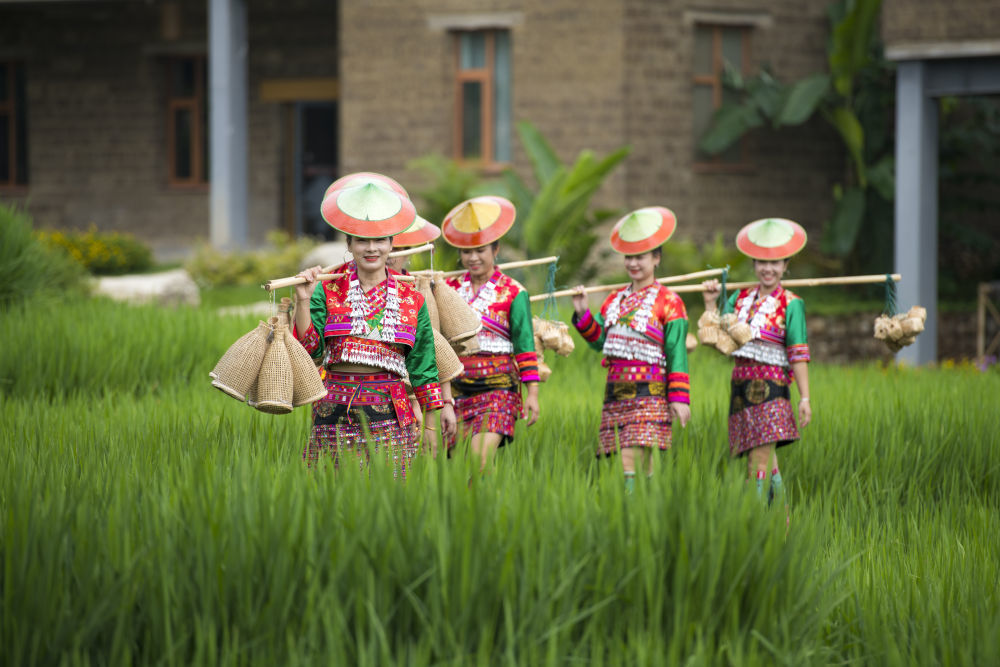 玉溪傣族姑娘走在田间。(受访者供图)