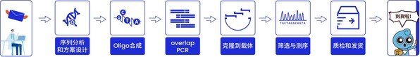 图1.擎科生物基因合成历程图