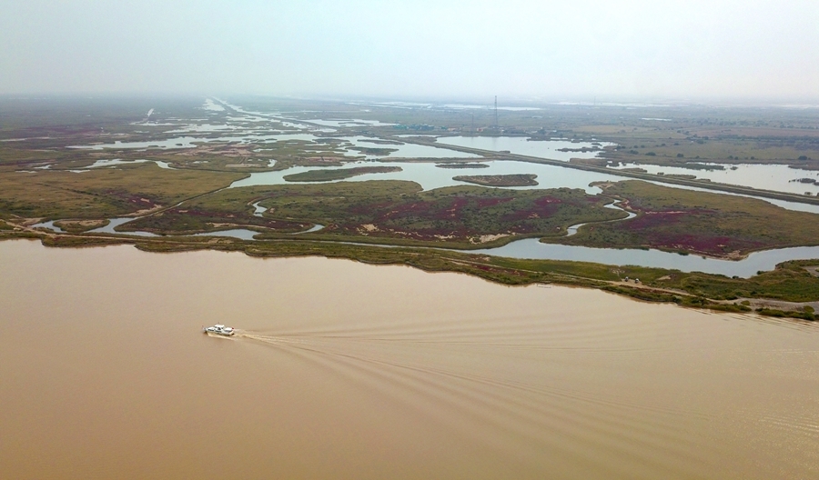 2023年10月12日在山东省东营市拍摄的黄河与黄河三角洲湿地（无人机照片）。新华社记者 徐速绘 摄