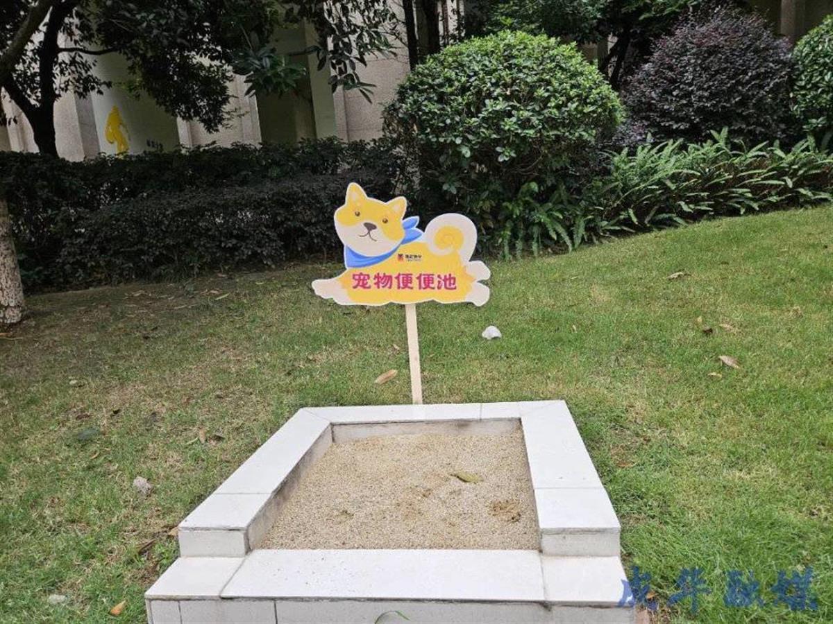 A狗狗也有专属“公厕”.jpg