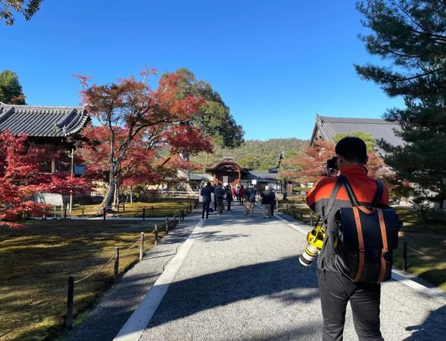 為什么國(guó)人旅游喜歡“拖行李箱”，而外國(guó)人喜歡背包？差距很大