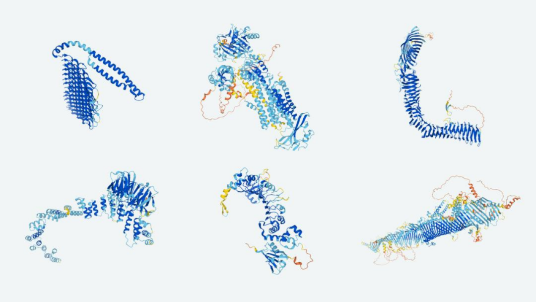 Alphafold开发者获2024诺贝尔化学奖，AI抢夺科学家的最重要荣誉