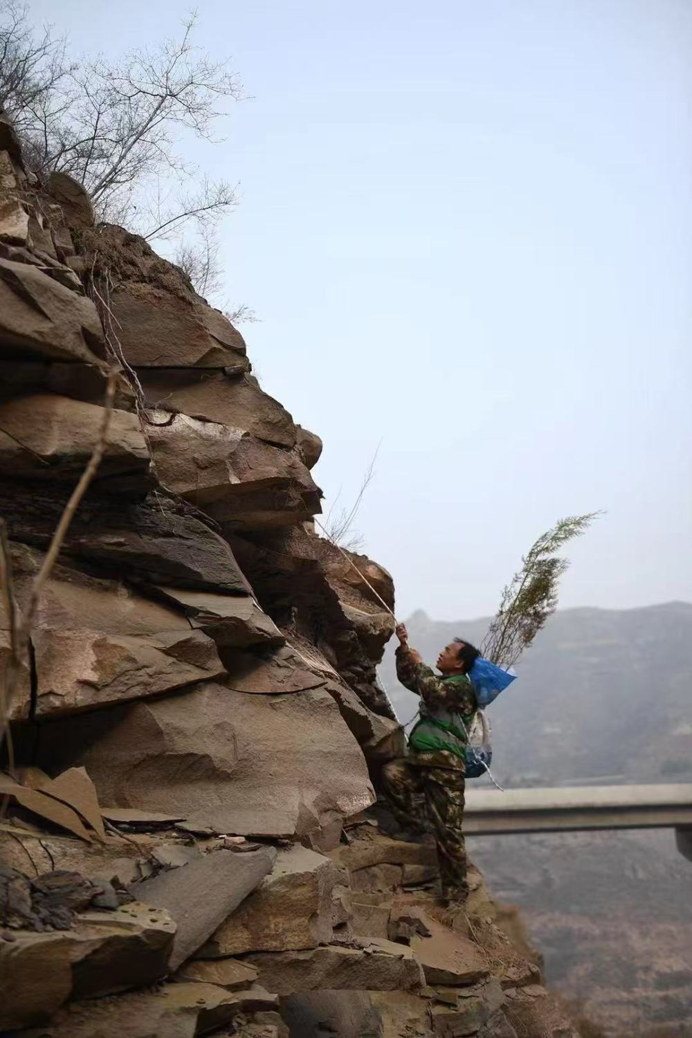 “悬崖造林队”队长王永红在宜川县悬崖上种树（资料照片）。新华社发