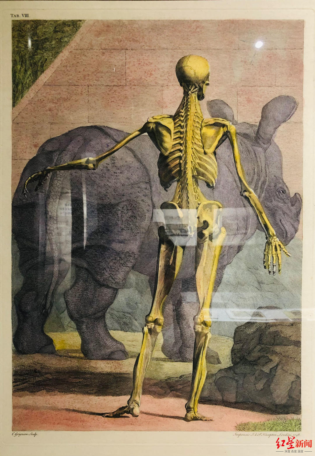 978207530.jpg