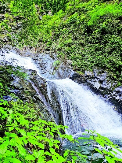 湖南永州千家峒国家森林公园大泊水景区一角 本报记者 秦伟利摄/光明图片