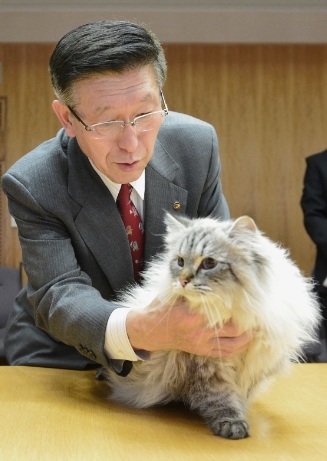 普京送给日本的“和平”去世了