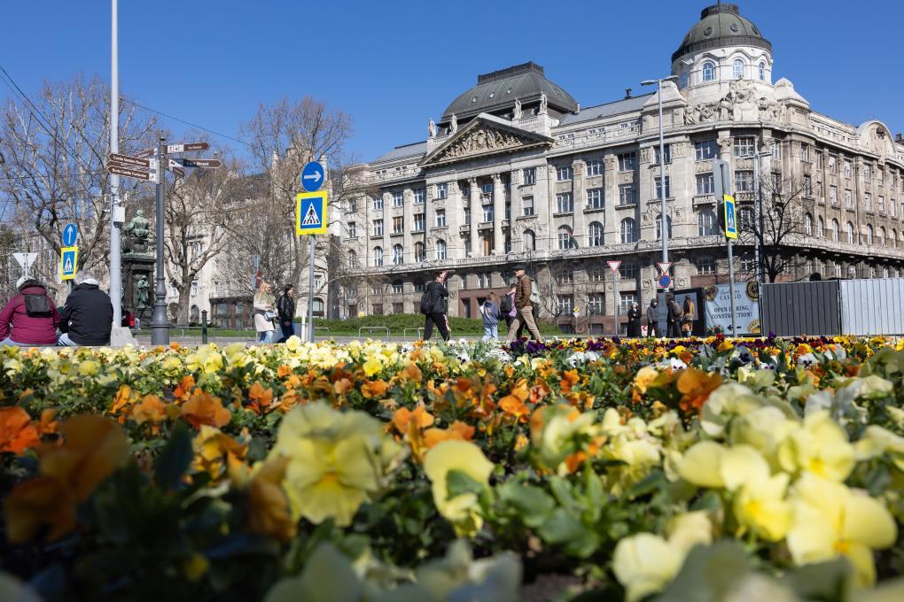 2024年3月17日，在布达佩斯，匈牙利内务部大楼前鲜花盛开。